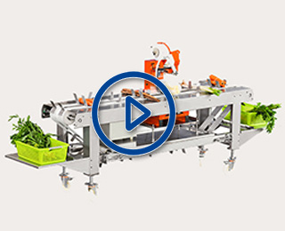Vegetables Binding Line
