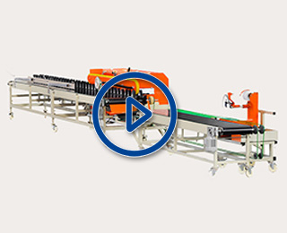 Cut Flowers Processing Line